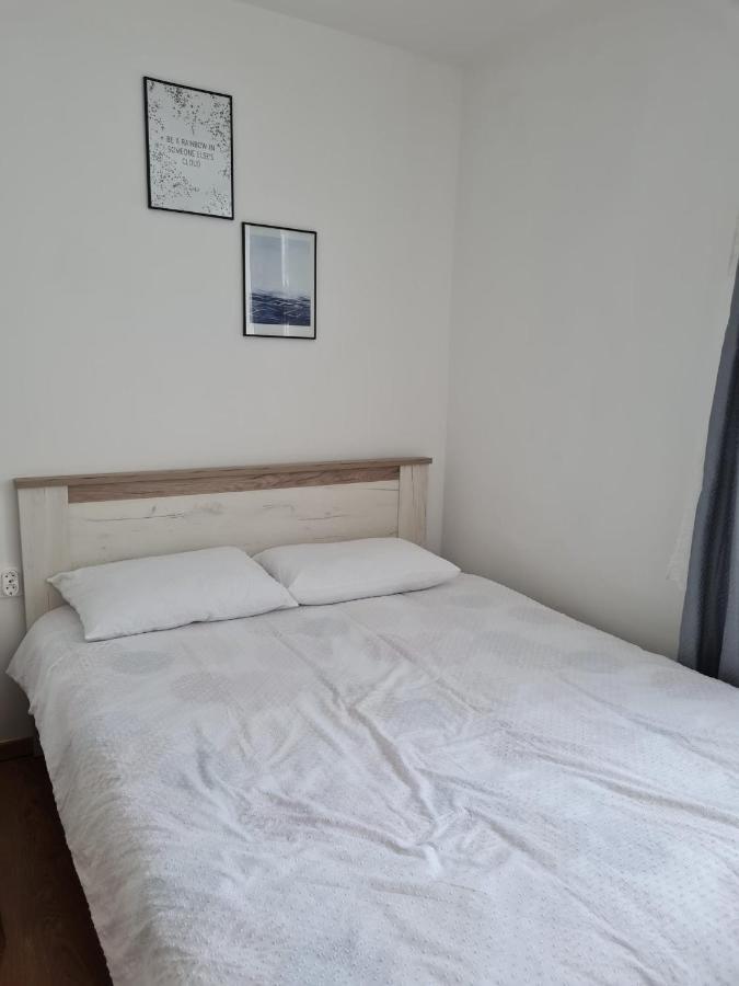 Dddd Apartament Cavnic Extérieur photo